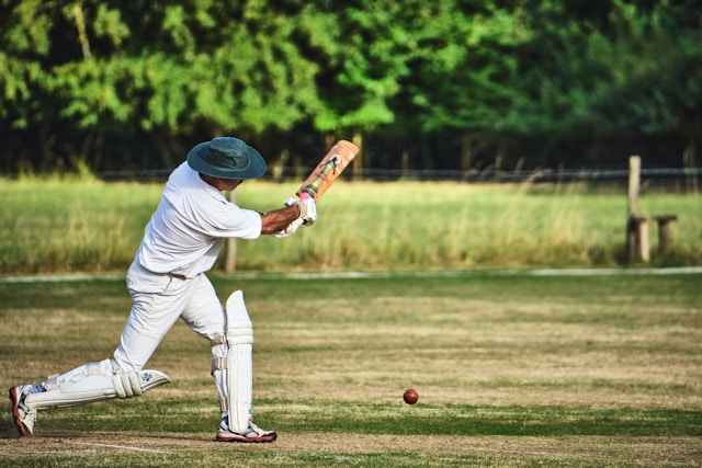 The Role of Data and Analytics in Fantasy Sports Cricket